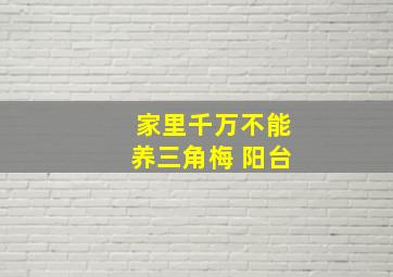 家里千万不能养三角梅 阳台